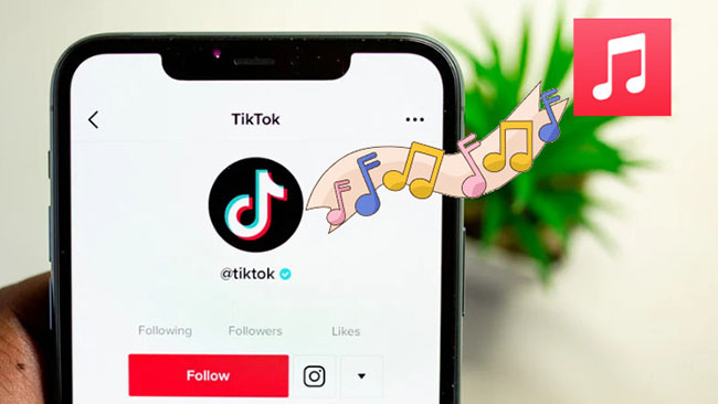 apple music to tiktok