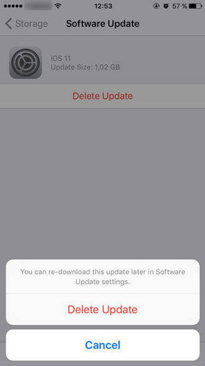 delete ios update