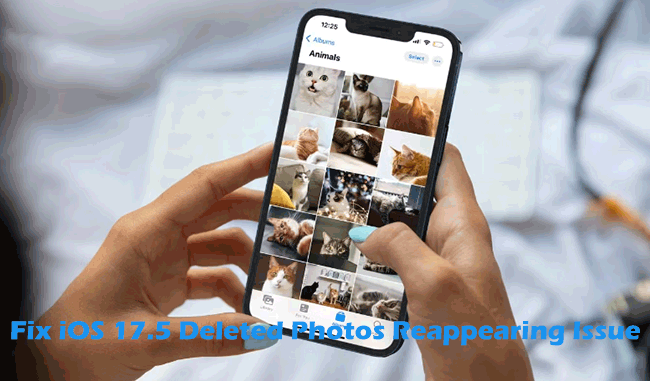 ios 17.5 deleted photos reappearing