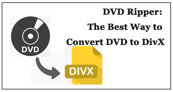 dvd to divx