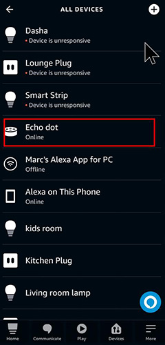 echo dot option