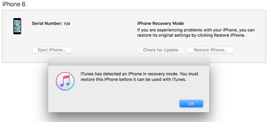 restore iPhone via iTunes