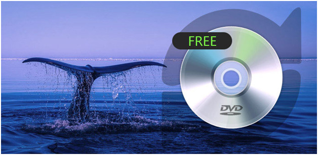 free dvd ripper