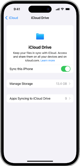 enable icloud drive