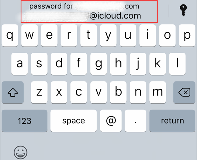 autofill passwords on ios 17