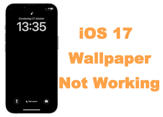 fix ios 17 wallpaper not working