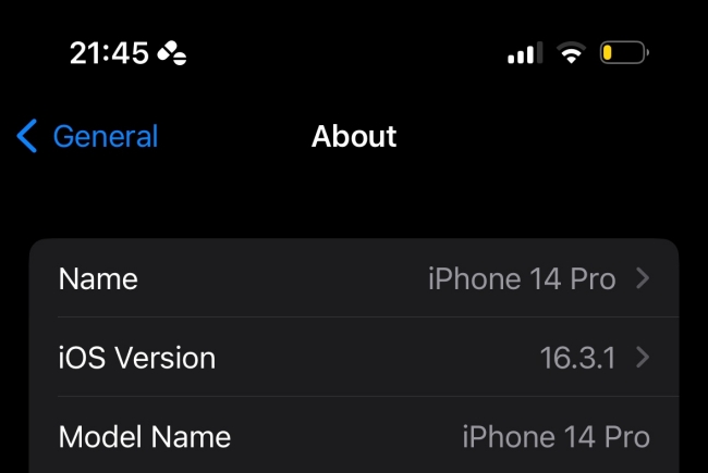 ios settings general about