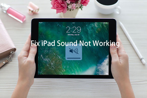 ipad sound not working