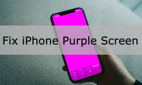 iphone purple screen