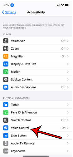 iphone voice control