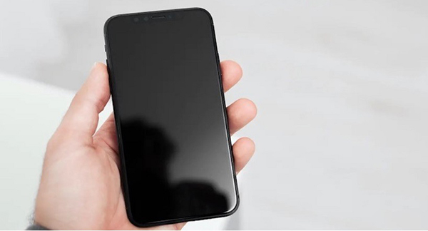 fix iphone x screen went black but still works