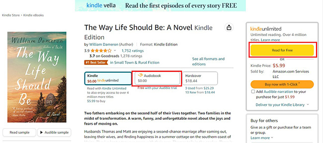 kindle book information