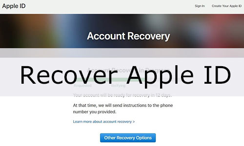 recover apple id 