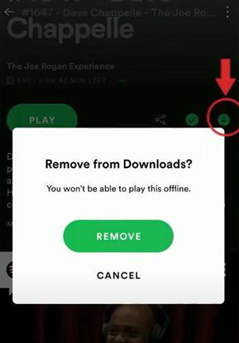 remove downloaded podcast button