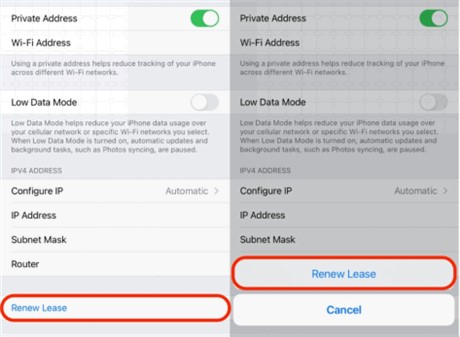 renew lease on wifi setting on iphone