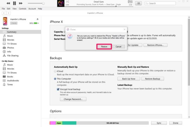 restore iPhone using iTunes