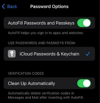 enable auto delete feature on ios 17