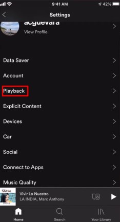 spotify playback