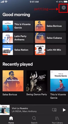 spotify setting