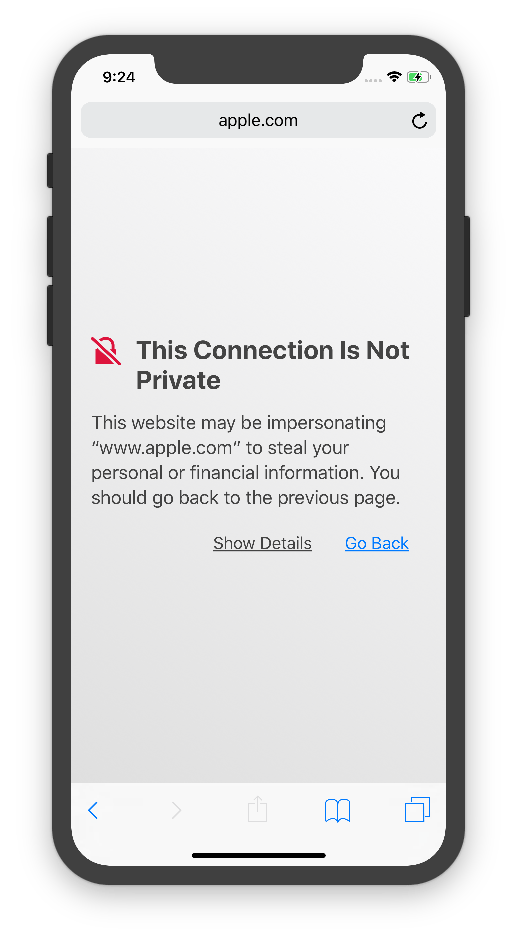 bypass your connection is not private in safari