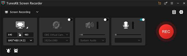 turn off recording audio option