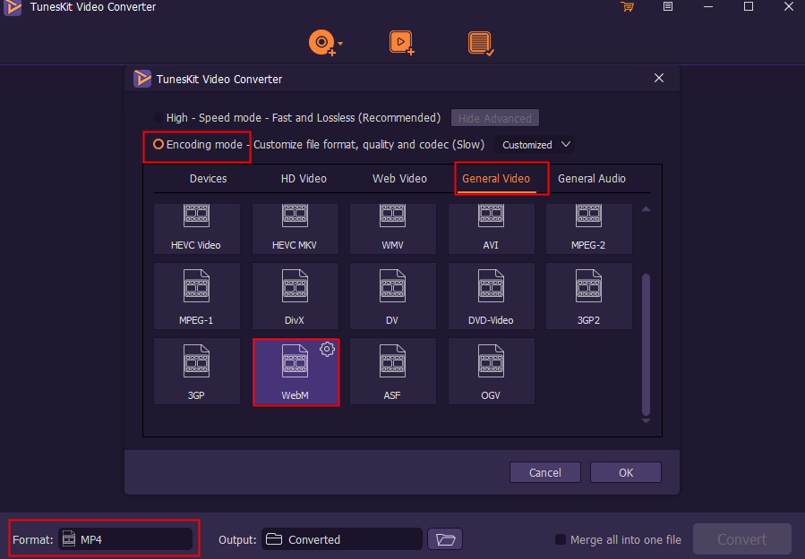 choose webm format